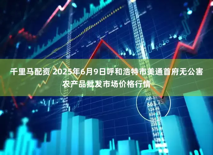 千里马配资 2025年6月9日呼和浩特市美通首府无公害农产品批发市场价格行情